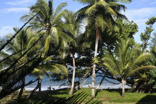 Coconut Villa - Wongaling Beach - Beachfront