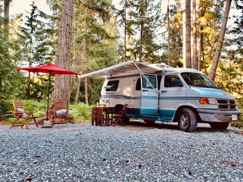 Shady Van in the Woods