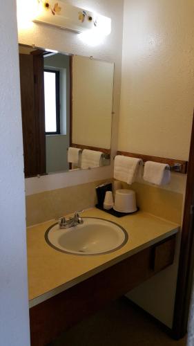 Safari Inn Motel - 화장실