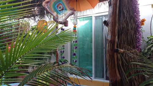 Casa Vainilla Holbox Island