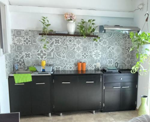 مطبخ, Suites Apodaca in San Bernabe