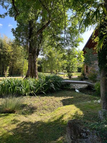 Aed, L´Oranger in Saint-Pere (Bourgogne)