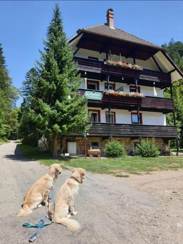 Waldblick Ferienwohnungen - Apartment - Bonndorf im Schwarzwald