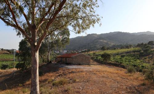 Casa rodeada de natureza com piscina