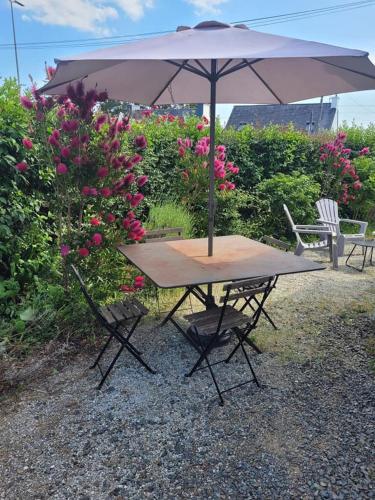 maison de standing avec jardin et spa - Location, gîte - Quimper