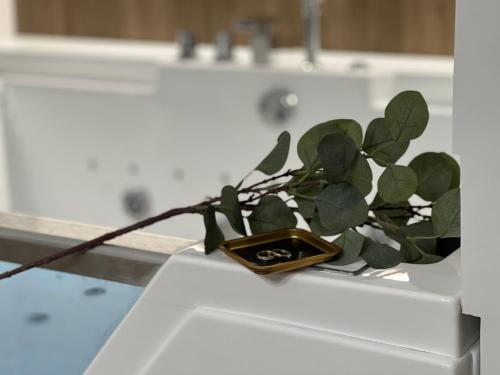 Gold Sleep apartament we Wrocławiu z prywatnym jacuzzi i dużym łóżkiem, Wrocław (photo 11)