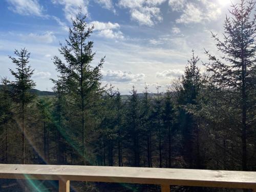 สภาพแวดล้อมโดยรอบ, Beechnut Lodge with Hot Tub in นิวโบ่