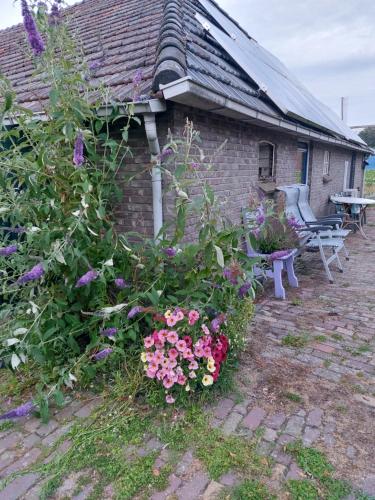 Logeerruimte in gerenoveerde boerderij in Wachtum