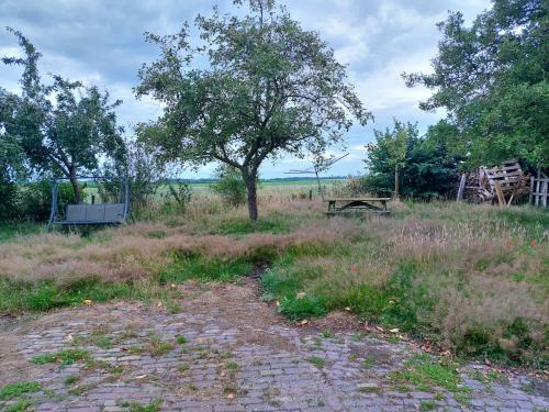 Logeerruimte in gerenoveerde boerderij in Wachtum