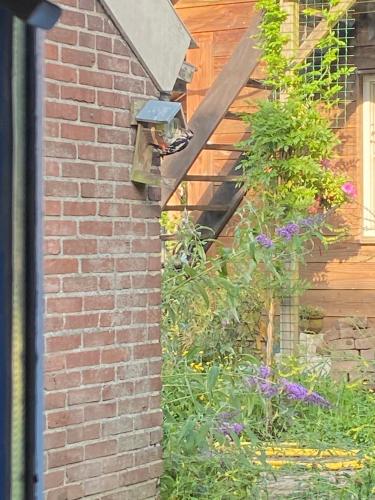 Logeerruimte in gerenoveerde boerderij in Wachtum