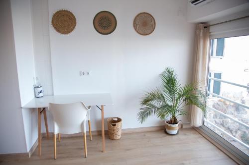 ガルチャ Hostal playa Dreams nautico Adults 4つ星 ホテル 施設