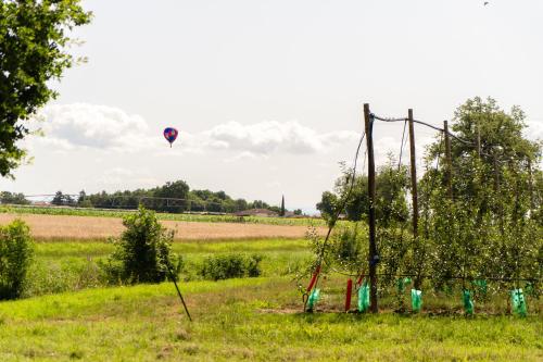 Le domaine de la Rivalière