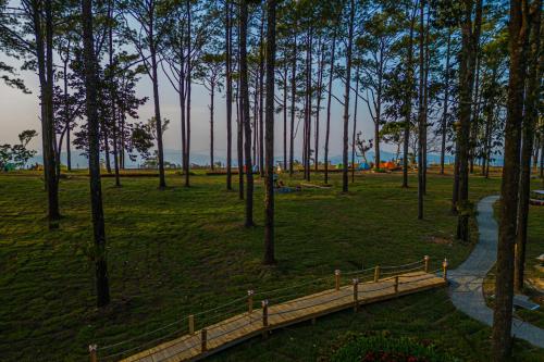 Camping Park Resort