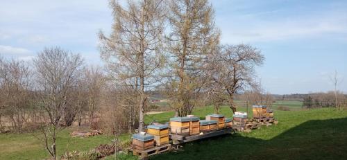 Skats, Ferienwohnung Bienenbeute in Fleischwangen