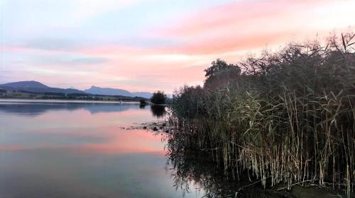 Glamping Wallersee - Unter dem Kastanienbaum