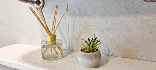 Mascheroni Luxury Rooms II 4