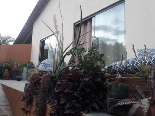 Casa Da Ju Cavalcante