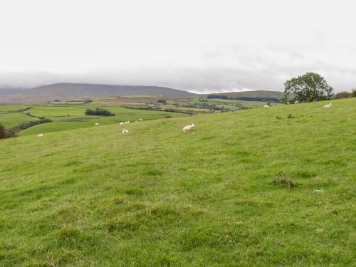 Y Bwthyn - image 7