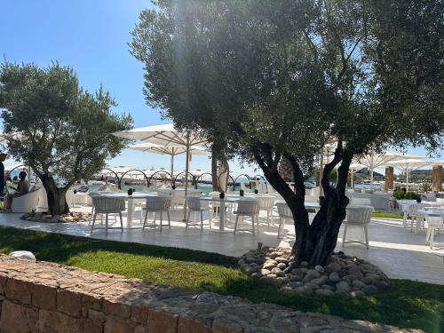 Sani forest house Sani forest house