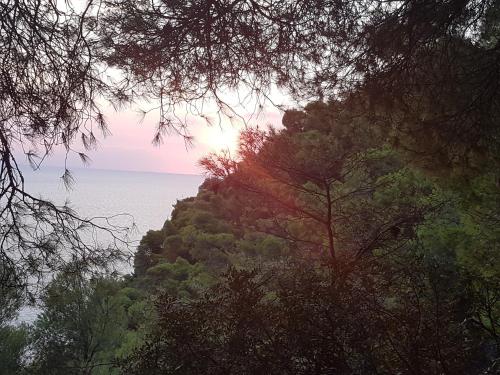 Sani forest house Sani forest house