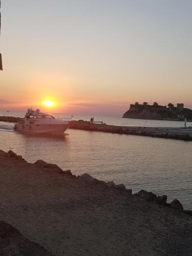 Sani forest house Sani forest house