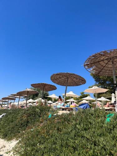 Sani forest house Sani forest house