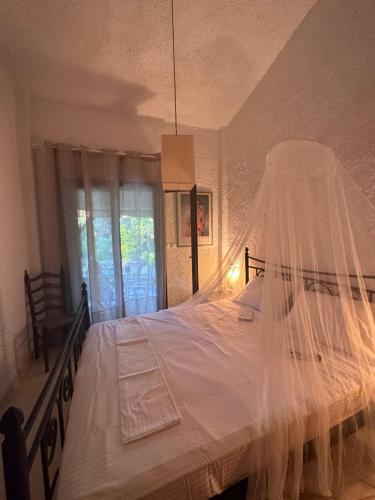 Sani forest house Sani forest house