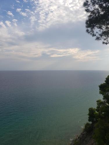 Sani forest house Sani forest house