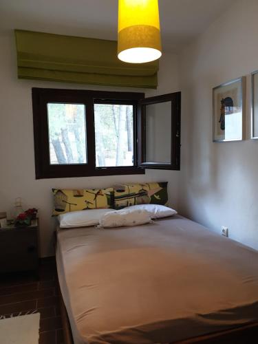 Sani forest house Sani forest house