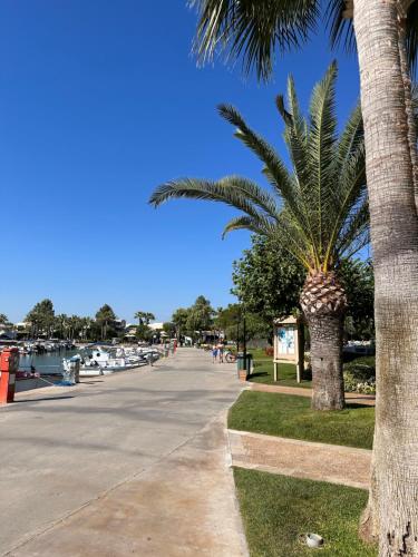 Sani forest house Sani forest house