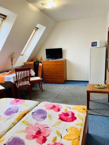 Apartmány, Penzion, Wellness U zlaté rybky Room Type - Standard Apartment