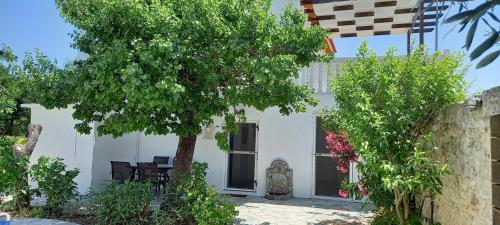 Villa Beloussi Zakynthos - Accommodation - Kipseli