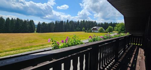 Skats, Horská Kvilda - Ubytování U Chvalů (Horska Kvilda - Ubytovani U Chvalu) in Horská Kvilda