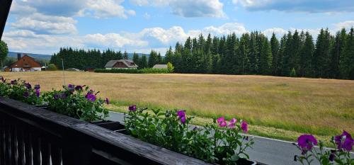 Skats, Horská Kvilda - Ubytování U Chvalů (Horska Kvilda - Ubytovani U Chvalu) in Horská Kvilda