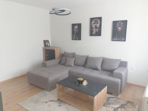 SANI - Apartment - Vrnjci