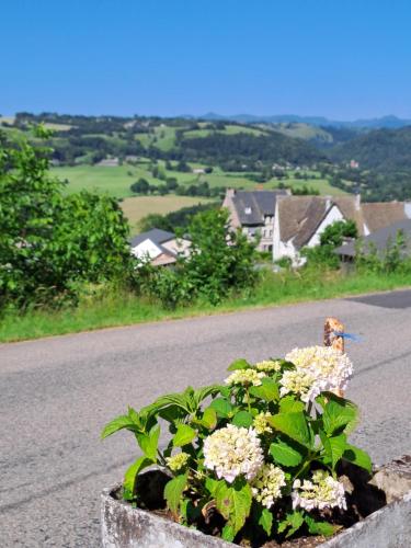 Gite puy Chavaroche met uniek uitzicht
