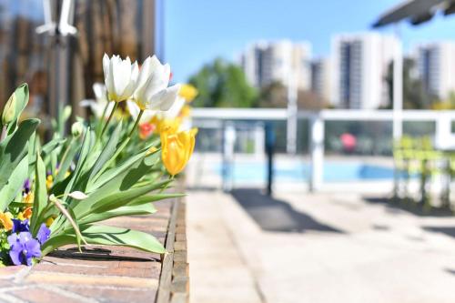 Novotel Paris Créteil Le Lac - image 3