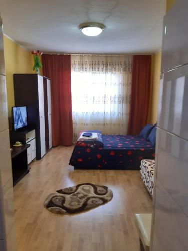 Apartament Herculane cu o camera - Apartment - Băile Herculane