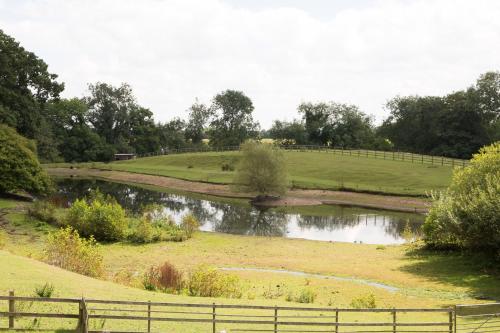 Kilátás, Alvanley Arms, Cotebrook in Rushton (Cheshire East)