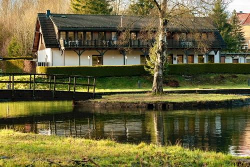 Das Waldseechalet Märchenhafter Waldseeblick - moderne Wohnung mit Infrarotsauna - Apartment - Hasselfelde