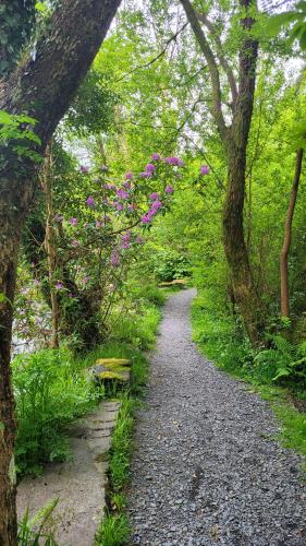 The Granary Corris on the edge of the Dyfi Forest