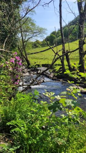 The Granary Corris on the edge of the Dyfi Forest