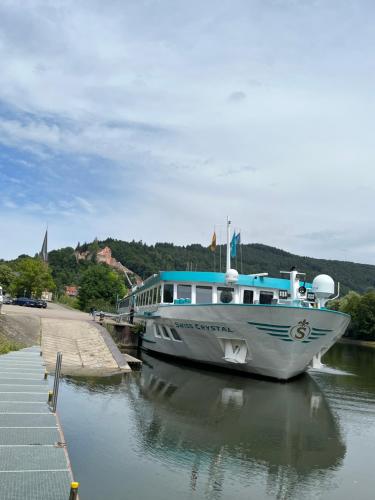 Natur und Neckarblick bei Heidelberg