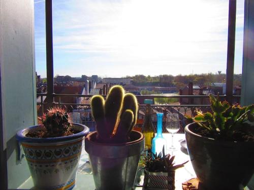 Appartement terrasse Bayonne centre