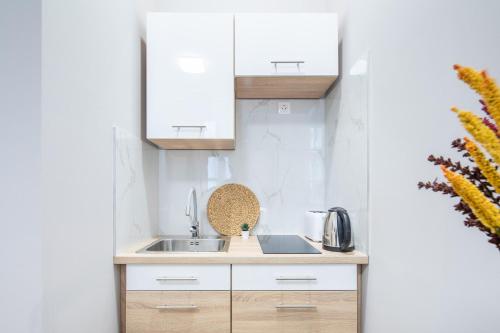 NEW - Central and Modern Studio - image 4