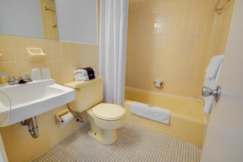 Flamingo Motel - image 12
