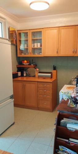 TARA RIVER HOUSE in Pluzine