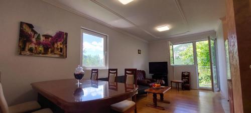 TARA RIVER HOUSE in Pluzine