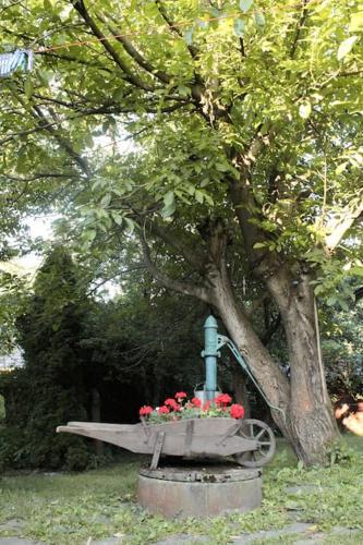 Dřevěnice u Azzyho Dřevěnice u Azzyho