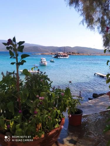  Island Apartments in Psili Ammos